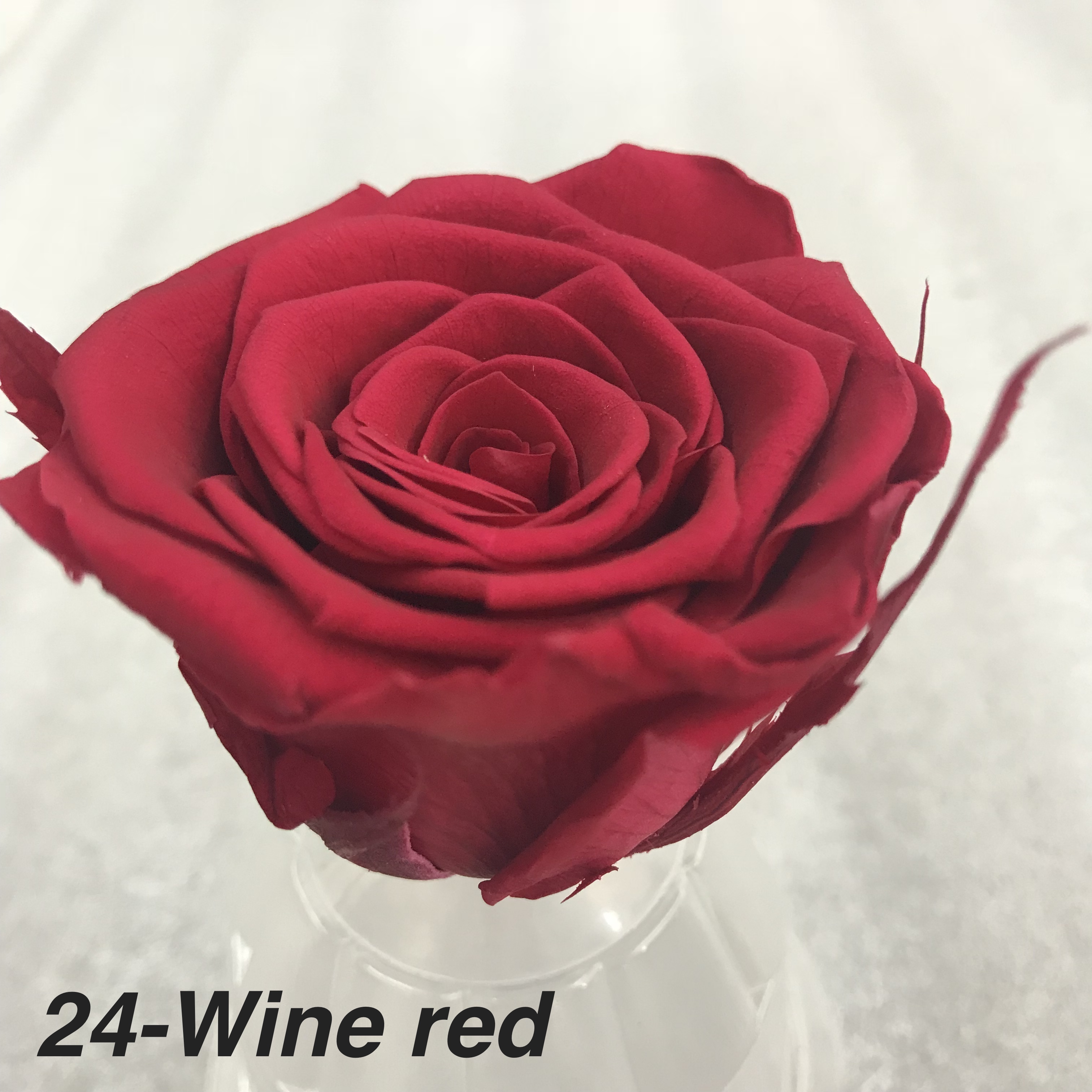 Wine Red