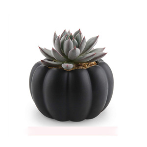 Maceta de cerámica <span class=keywords><strong>con</strong></span> bandeja de bambú para <span class=keywords><strong>suculentas</strong></span>, diseño de calabaza moderno - Product Image 3