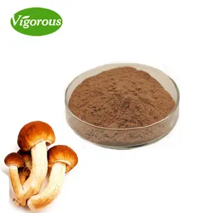 纯天然免费样品天鹅绒pioppini蘑菇提取物粉