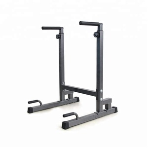 ZYFIT Stazione per Dip Professionale, Barre Parallele per Allenamento di Forza, Attrezzatura per Palestra Domestica - Product Image 1