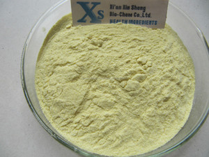 Gmp cereza acerola extracto natural de alta calidad pintura en polvo/vitamina c - Product Image 1