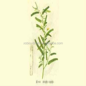 Alta calidad kosher GMP Extracto de Cassia nomame natural para bajar de peso - Product Image 3