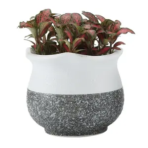 Wholesale Cheap OEM Ceramic Flower Pot Tabletop Decor Porcelain Planter Pot