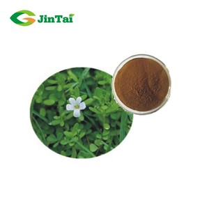 Bacopa monnieri brahmi EXTRACTO DE portulaca flavonoides 3.8% Herba Portulacae - Product Image 3