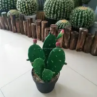 Vendita calda per la casa piante artificiali di fabbrica cactus artificiale di Alta Qualità di Plastica di Cactus