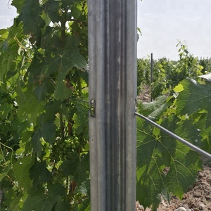 Poste métallique en vinyle galvanisé, nouveauté, approvisionnement directe depuis l'usine, dure longtemps - Product Image 6