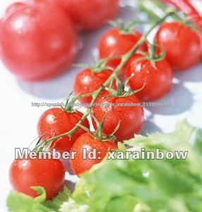 <span class=keywords><strong>licopeno</strong></span> - Product Image 1