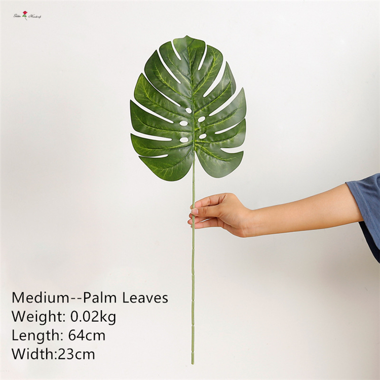 Meidum Palm Leaves