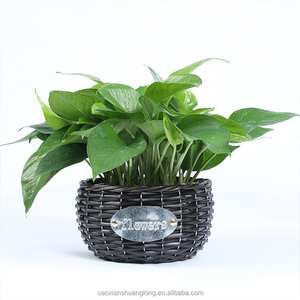 Hot Sale <strong>Wicker</strong> <strong>Basket</strong> Flower Girl <strong>Basket</strong> <strong>for</strong> Gift - Product Image 5