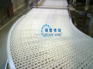 Plast enlace CLEA pescado cinta transportadora modular - Product Image 2