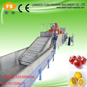 <span class=keywords><strong>Fruits</strong></span> et légumes Machine de Traitement - Product Image 4