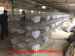 <span class=keywords><strong>Cage</strong></span> et <span class=keywords><strong>cage</strong></span> de <span class=keywords><strong>pigeon</strong></span> à 12 cellules bon marché et de vente chaude pour l'animal de compagnie d'oiseau de <span class=keywords><strong>pigeon</strong></span> d'élevage (vente directe) - Product Image 6