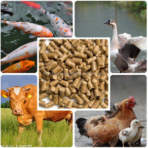 <span class=keywords><strong>Machine</strong></span> à granulés pour aliments animaux, <span class=keywords><strong>machine</strong></span> à <span class=keywords><strong>fabriquer</strong></span> des granulés, pelletiseur pour aliments animaux, <span class=keywords><strong>machine</strong></span> à granulés - Product Image 5