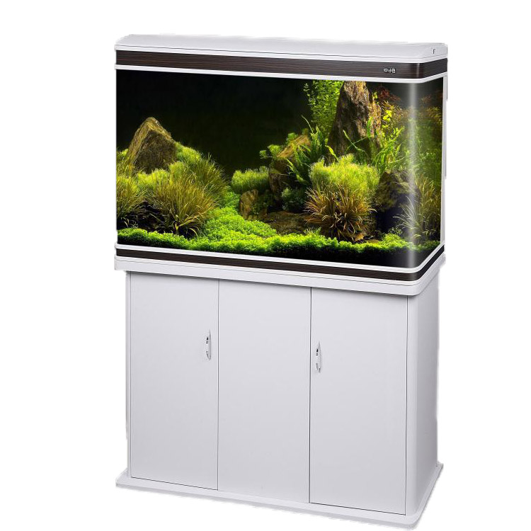 Aquarium Fish India Quality Tanks Fish Food Supplies - Main Image