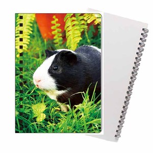 Custom 3D <strong>Notebook</strong> Lenticular Printing Cover <strong>Spiral</strong> <strong>Notebook</strong> Unicorn Design - Product Image 2