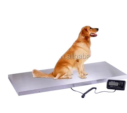660lb Veterinary Dog Scale with Stainless Steel Platform and Rubber Mat for Dog Cat Pet Alpaca Llama Sheep Fish