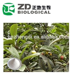 Hierba <span class=keywords><strong>china</strong></span> nombre latino eriobotrya japonica thunb extracto/pipaye pe - Product Image 1