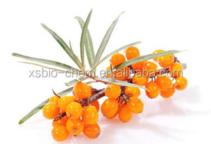 Di alta Qualità GMP Naturale Estratto di Olivello Spinoso di frutto di olivello spinoso/Estratto di foglie di olivello spinoso - Product Image 4