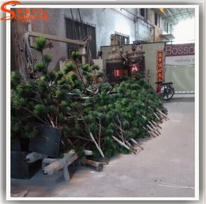 Grande <span class=keywords><strong>exterior</strong></span> <span class=keywords><strong>luces</strong></span> del árbol del led, artificial llevó la luz del árbol <span class=keywords><strong>de</strong></span> palma - Product Image 5