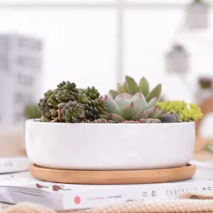 Semplice bianco creativo succulente in ceramica pentola rotonda superficiale cesto con cura di bambù pentola