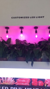 2017 <strong>New</strong> <strong>Product</strong> <strong>Led</strong> Plant Grow Light A60 <strong>Led</strong> Filament Plant Grow <strong>Bulb</strong> 4W 6W 8W E26 E27 B22 <strong>Led</strong> Plant Grow <strong>Lamp</strong> - Product Image 4