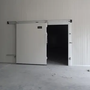 Bonne qualité <span class=keywords><strong>baie</strong></span> <span class=keywords><strong>de</strong></span> chargement extérieur grande porte simple ou double atelier électrique isolation thermique porte <span class=keywords><strong>coulissante</strong></span> pour chambre froide - Product Image 4
