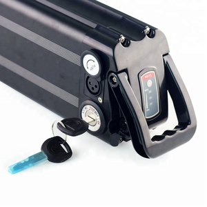 Batería de bicicleta eléctrica <span class=keywords><strong>48V</strong></span> 20Ah Paquete de batería tipo pez plateado Li-ion <span class=keywords><strong>18650</strong></span> Celdas 1000W Silver Fish ebike Paquete de batería de litio Scooter - Product Image 2