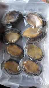 Bào Ngư Nửa Vỏ Frozrn Tươi Bán Chạy Chất Lượng Tốt - Product Image 3