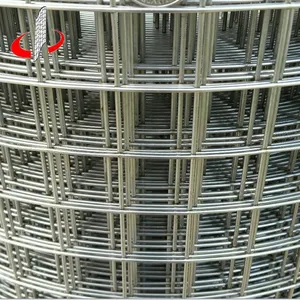 Stainless Steel Galvanized Welded Wire Mesh Made In China