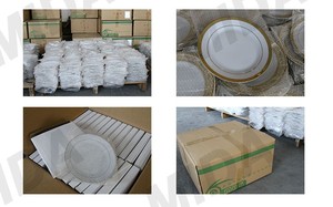 ระเหิดเคลือบ <span class=keywords><strong>Blank</strong></span> แผ่นเซรามิค10 "สีขาวจานจาน - Product Image 5