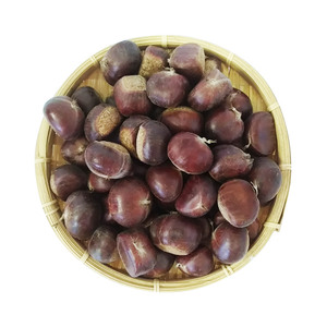 Châtaignes biologiques Shenli de qualité A du Hebei, brutes, à bas <span class=keywords><strong>prix</strong></span> <span class=keywords><strong>au</strong></span> <span class=keywords><strong>kg</strong></span> - pour la torréfaction - Product Image 1