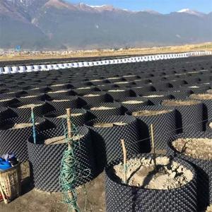 พลาสติก HDPE 10 Gal สองสีบลูเบอร์รี่พืชอากาศรากหม้อ - Product Image 4