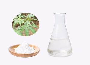 CGMP Pabrik Pasokan Manis Alami Ekstrak Daun Teh 70% 80% 85% Rubusoside dengan Baik Fragrance - Product Image 3