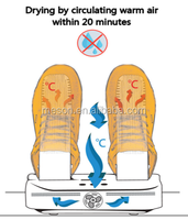 SUNFOOT Sèche-chaussures et bottes électrique à ozone, chauffe-chaussures