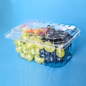 GLT-84B6 plastic tomato fruit clamshell container,plastic fruit tray for strawberry