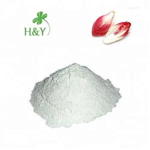 Pure Natural Factory Wholesale Alantin Extract Inulin