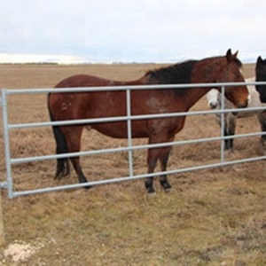 Venda direta da fábrica usado cavalo corral painéis/gado galvanizado cercas para gado