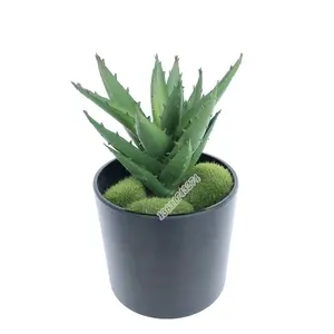 Plastic plant mini succulent artificial aloe vera for pot decoration