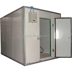 Cold room for refrigerating meat vegetables and fruits