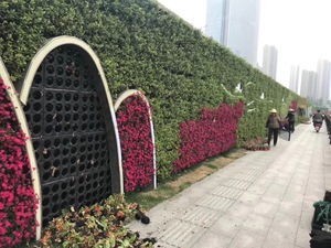 ผนังอาศัยพลาสติกแบบแยกส่วนสวนผนังสดมินิสวนกระถางดอกไม้พลาสติกระบบผนังสีเขียวกระถางขายส่ง - Product Image 4