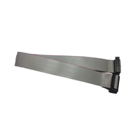 20CM 2,54 MM Pitch AVR ISP JTAG Wire 10 30 20-Pin IDC Flat Ribbon DATA Cable para aplicaciones electrónicas