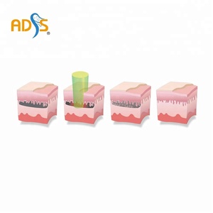 <span class=keywords><strong>Rimozione</strong></span> <span class=keywords><strong>Tatuaggi</strong></span> Laser a Doppia Via Più Venduta del 2023 ---- RY 580 <span class=keywords><strong>Rimozione</strong></span> <span class=keywords><strong>Tatuaggi</strong></span> - Product Image 6