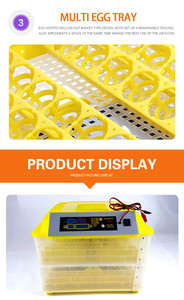 YZ-112 venta al por mayor Mini huevo incubadora máquina de la mejor opción para pollo codorniz huevos de <span class=keywords><strong>pato</strong></span> - Product Image 2