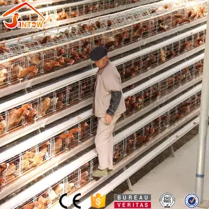 Hot Sale Deep Galvanized Chicken Egg Layer Cage Factory Price pyramid quail cages for sale