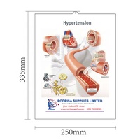 Póster médico anatómico 3D en relieve tablas de pared, el póster del sistema muscular