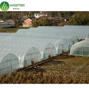Vegetable growing weather resistance high tunnel flat roof greenhouse