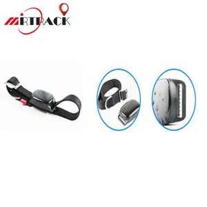 mini innovative powerful dog gps collar locator with free platform TK909,small tracking device chip