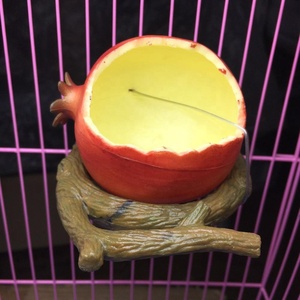 Heyri-cuenco alimentador de comida para mascotas, tazón de agua de alta calidad, naranja, Granada, fruta, pájaro, <span class=keywords><strong>Hamster</strong></span>, taza de jardín, cuencos alimentadores de aves y frutas - Product Image 3