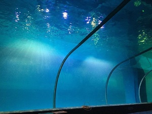 <span class=keywords><strong>Aquarium</strong></span> <span class=keywords><strong>Aquarium</strong></span> Professionele Fabrikant Cilinder Vorm Acryl Glas Aquaria & Accessoires Plastic Duurzame 1.2G/Cm3 - Product Image 5