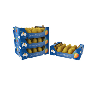 Venta al por mayor frutas limón mangos tomate corrugado caja de embalaje - Product Image 1